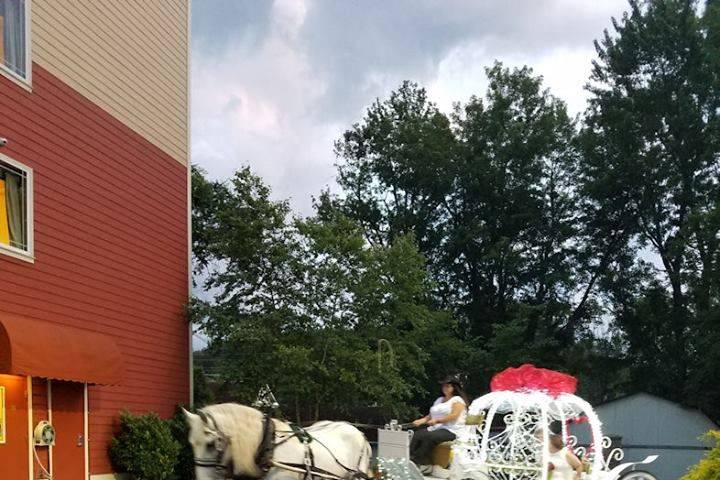 Smokey Mountain Wedding