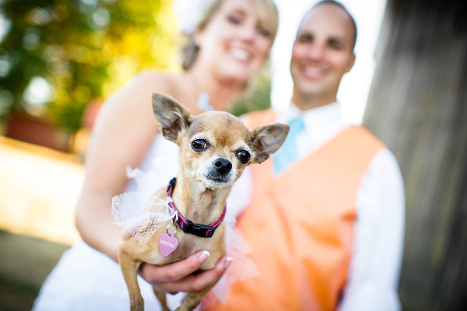 Photo by Powers Photography Studios
The real maid of honor!
Oregon Rustic Country Orchard Wedding.