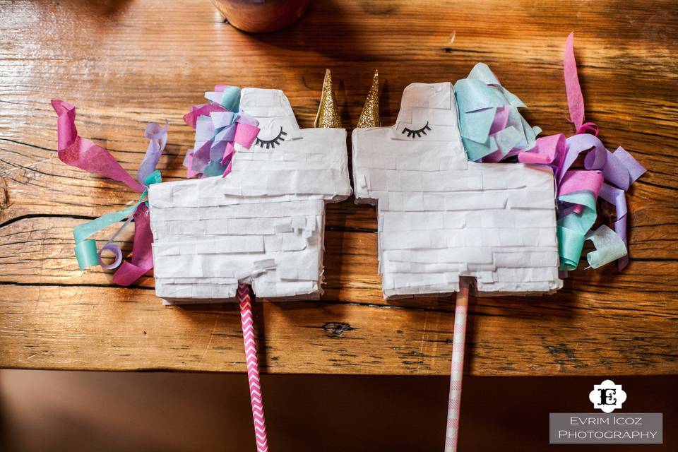 Mini Unicorn pinata photo props!