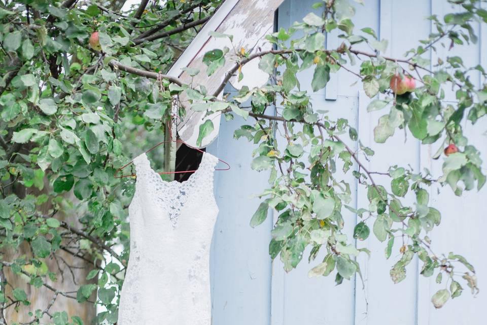 Taylor May Photography