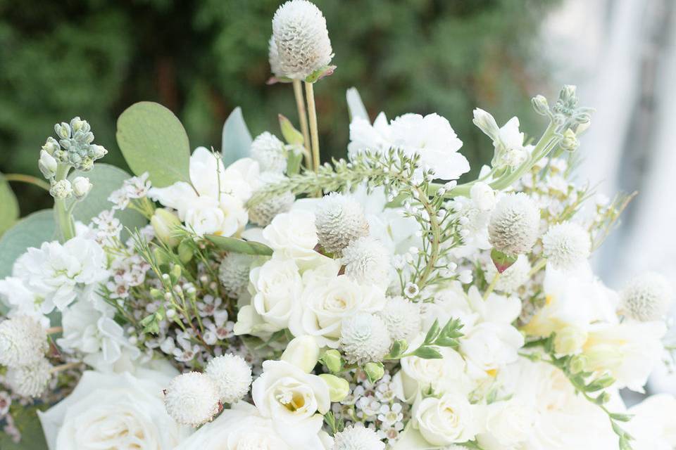 Alice Perry Events