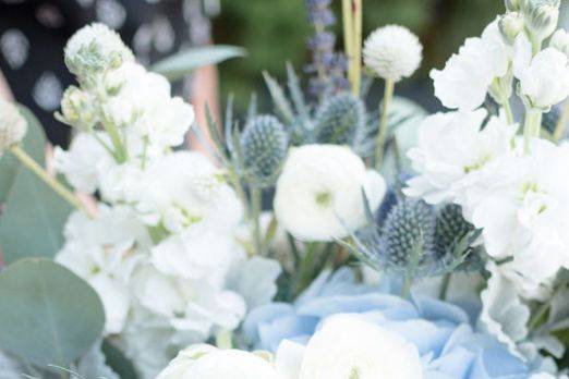 Alice Perry Events