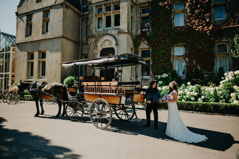 Cool Elopement in Ireland