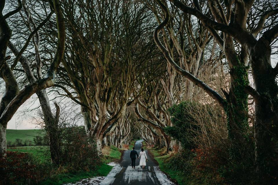 Dark Hedges Elopement