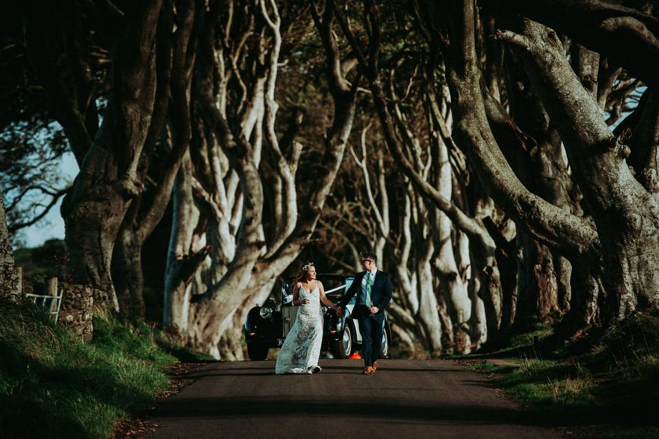 Dark Hedges (GoT)