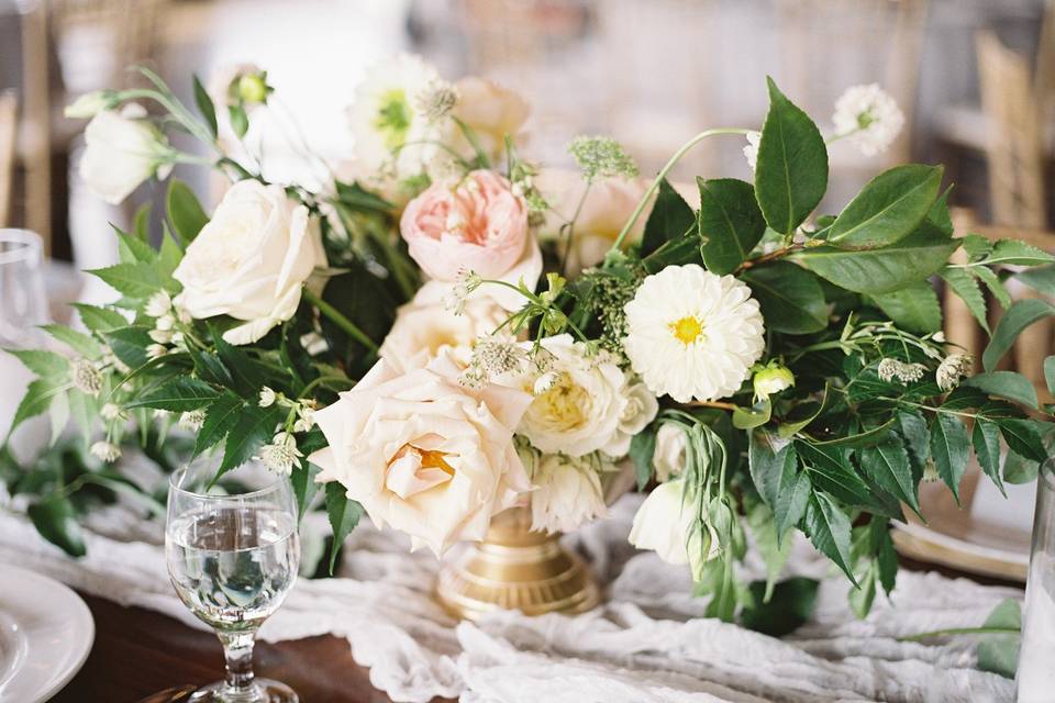 Jennifer Yarbro Photography
