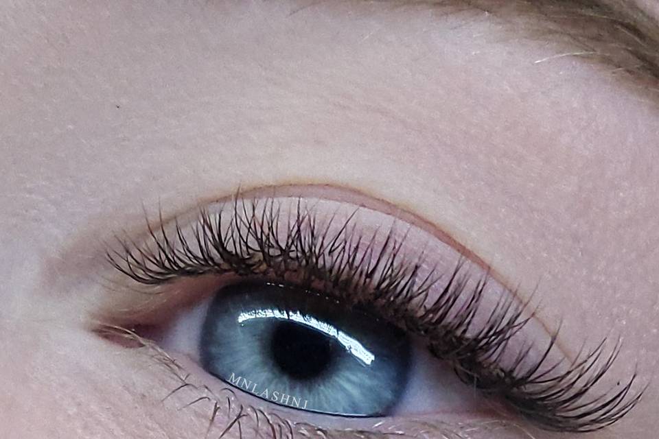 Classic Lashes