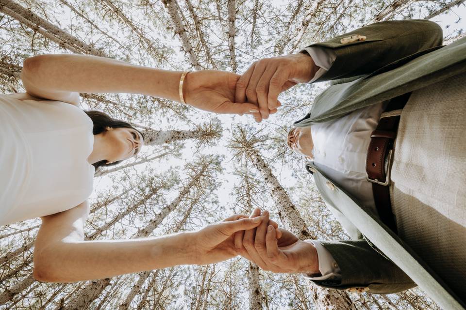 Couple in Tree Farm