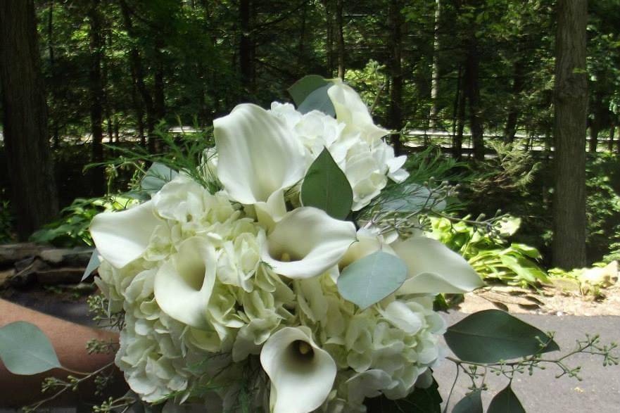 Calla lillies