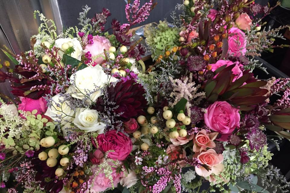 Color, texture and variety