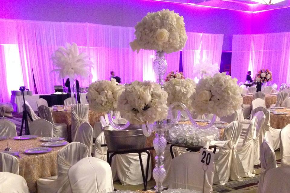 Wedding Reception - Ambassador