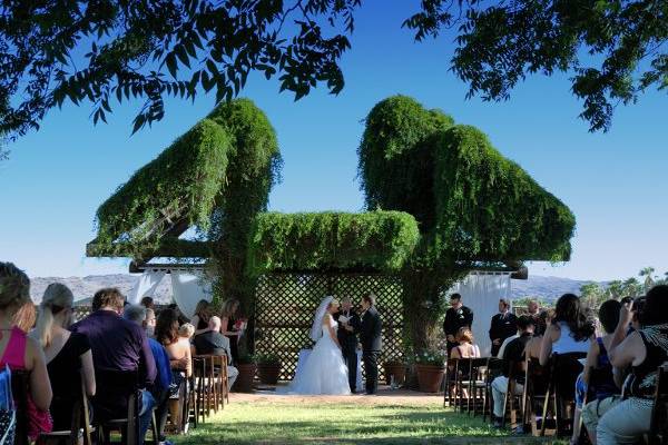 Admired Weddings