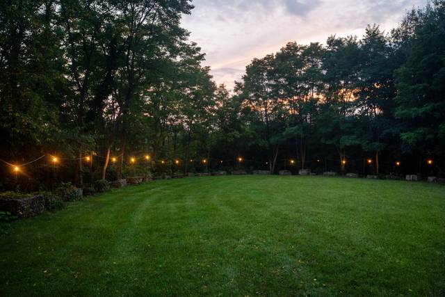 Faerie Ring Night
