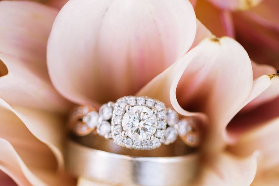 Ring shot: Polson Mt