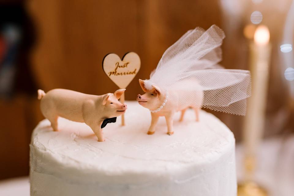 The cutest cake toppers.. ever
