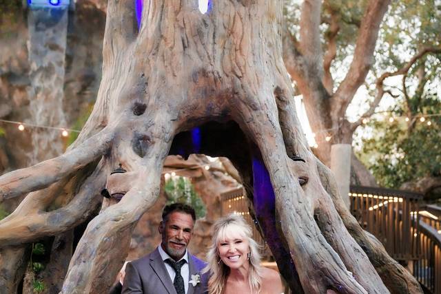 Bride and groom under tree