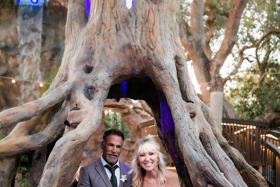 Wedding couple tree
