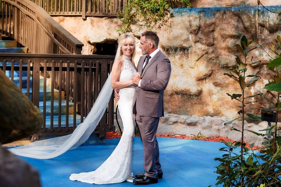 The Shape of Water Weddings and Events