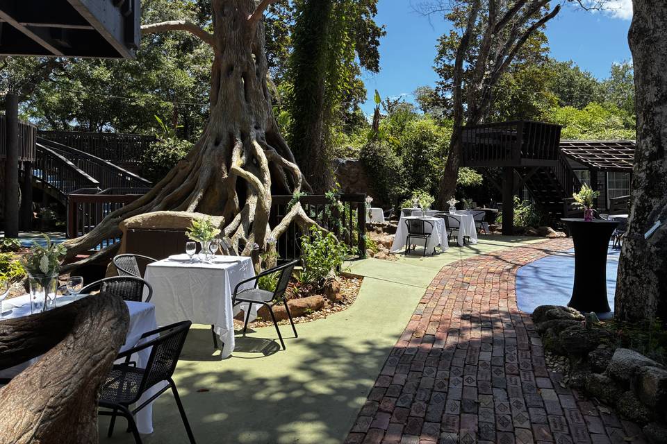 South courtyard wedding set up