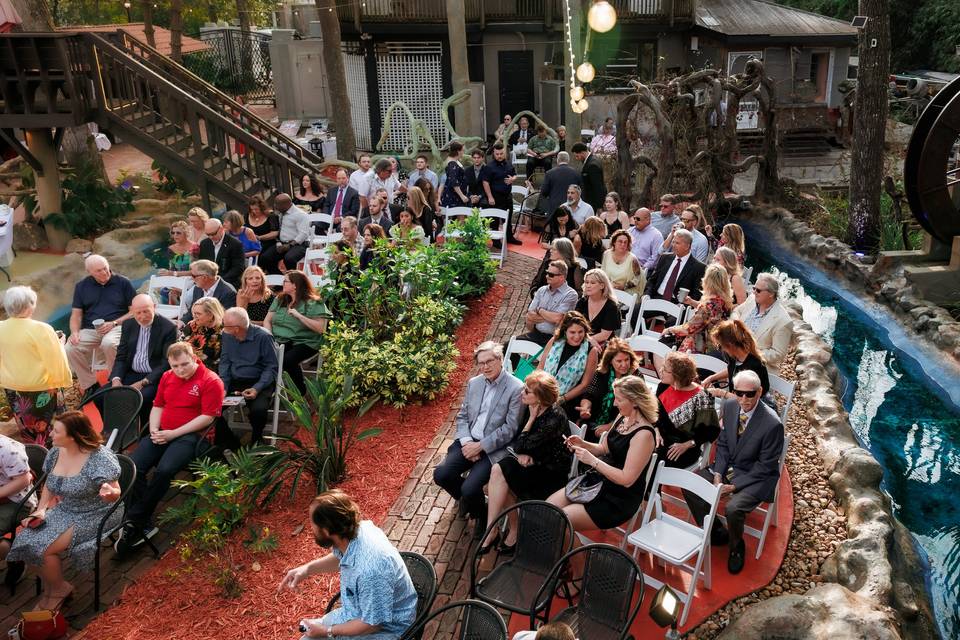 Wedding crowd