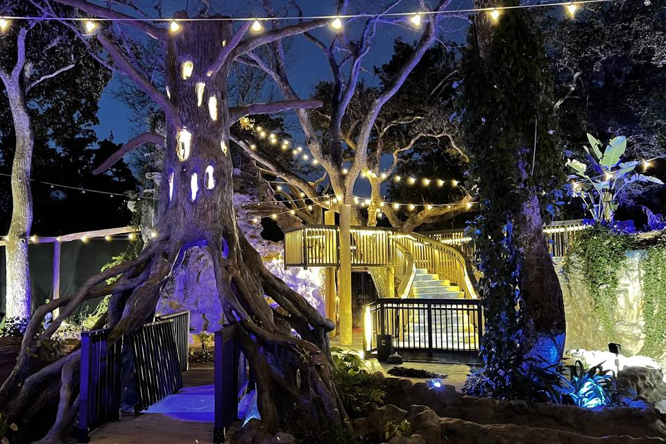 Tree & Courtyard