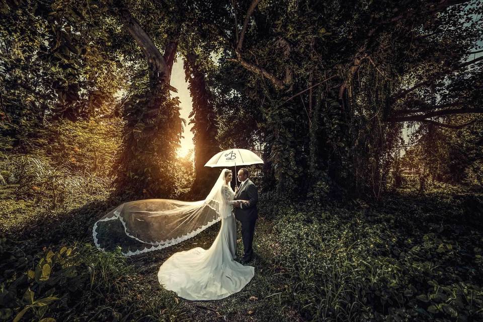 Hyper-Artistic Photography