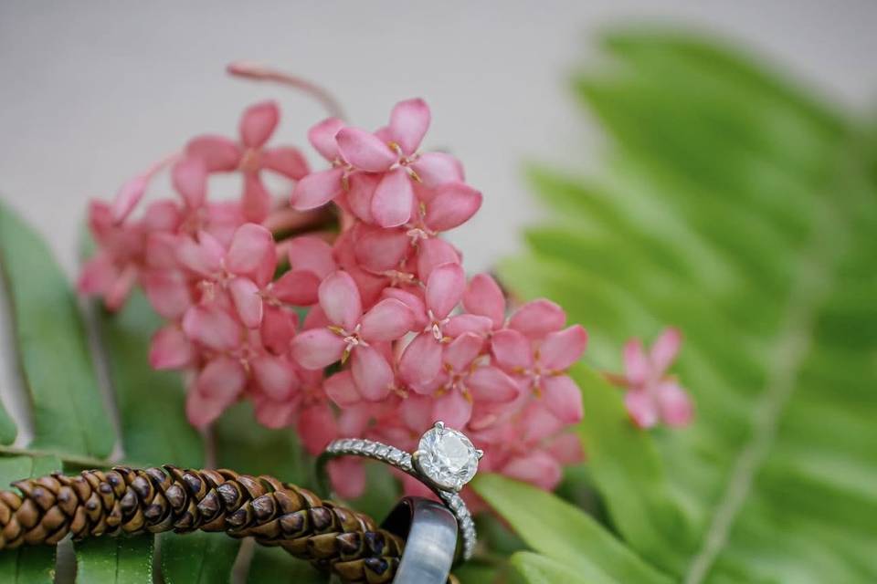 Azure wedding and events