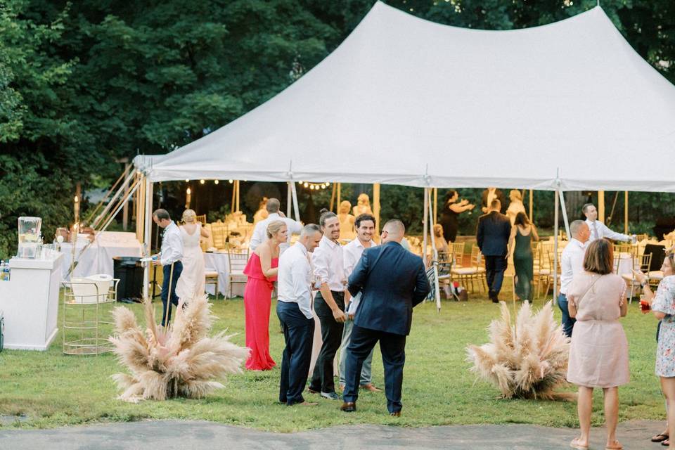 Canopy with bistro lighting