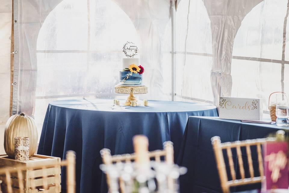 Navy Linen and Gold Chiavari