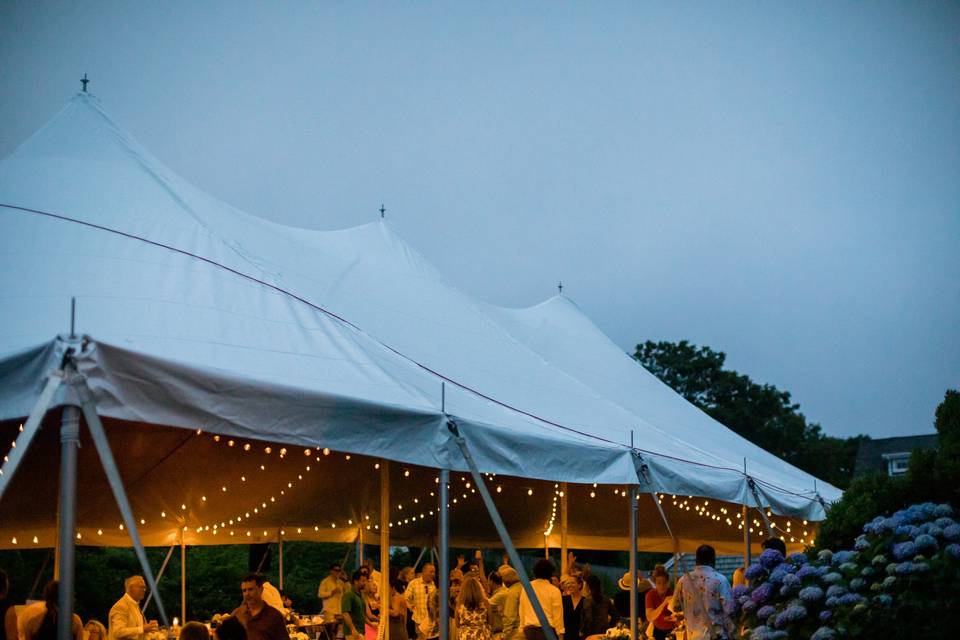 Canopy Tent w Bistro Lighting