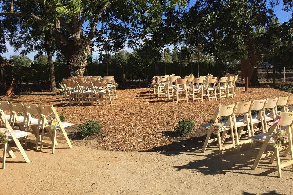 Walnut Tree ceremony area with vineyard backdrop