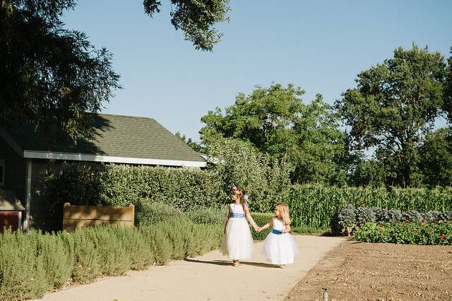 Aisle to Pergola