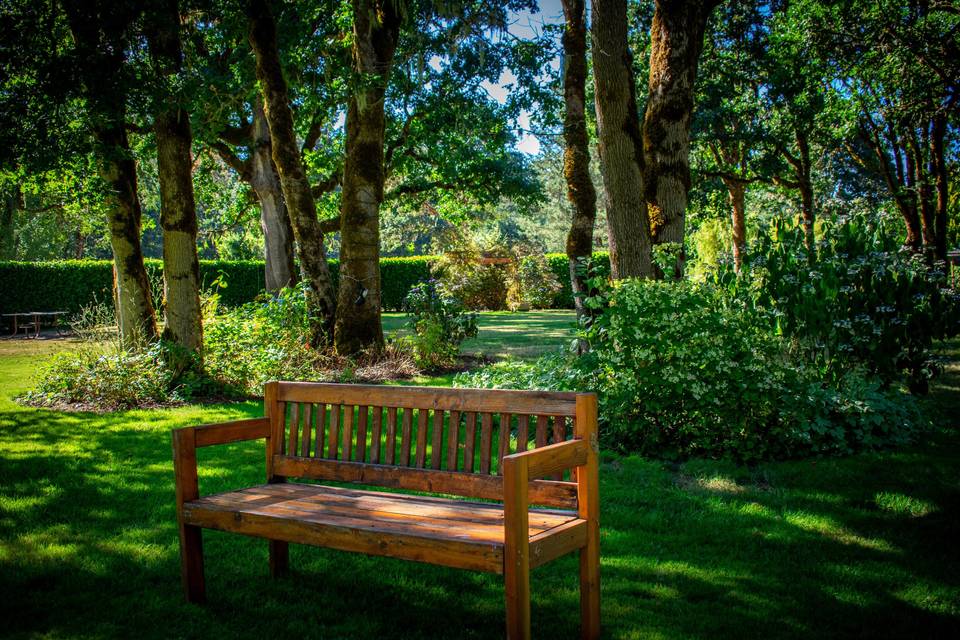 Oak Grove Bench