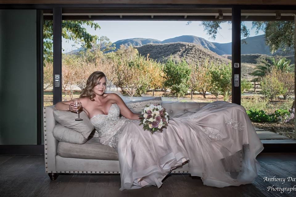 Anthony David Photography