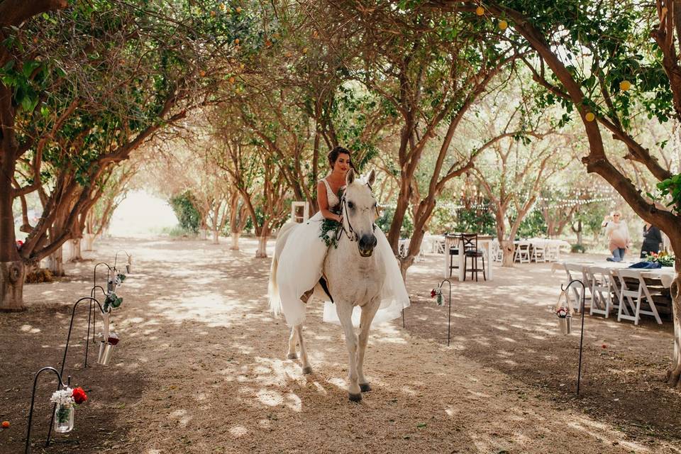 Unique entrance on horseback