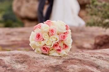 Flowers on the Rocks