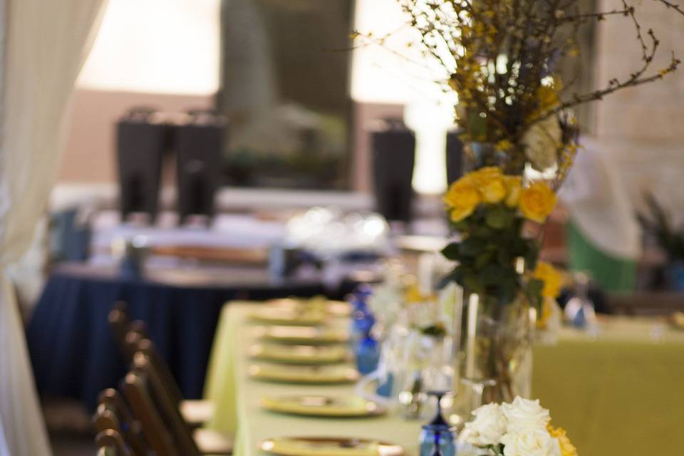 Accex Insight Events