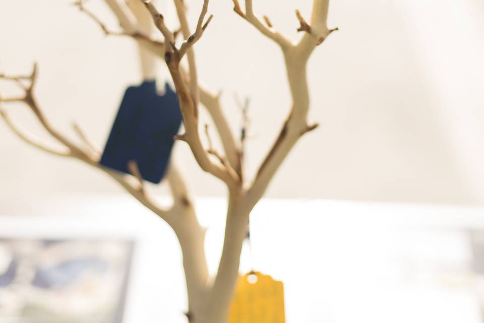 Accex Insight Events