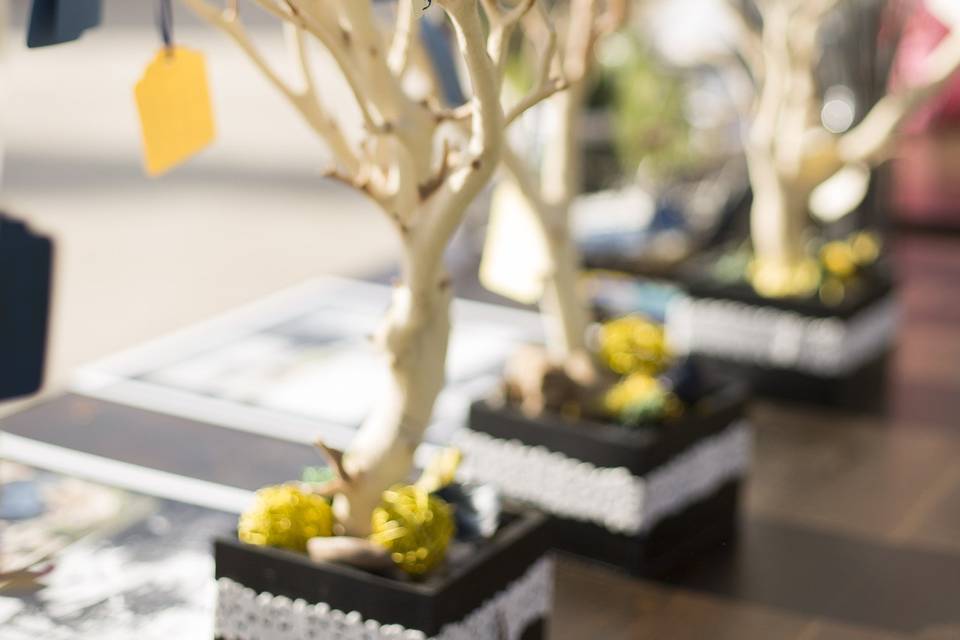 Accex Insight Events