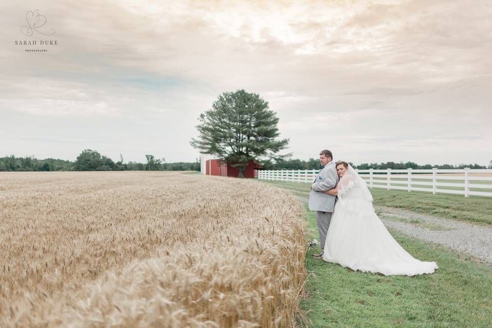 Paynefield Farm