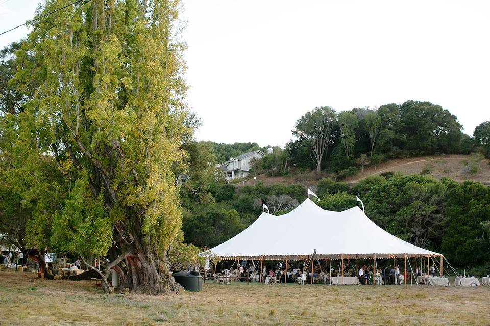 Peerless Events & Tents