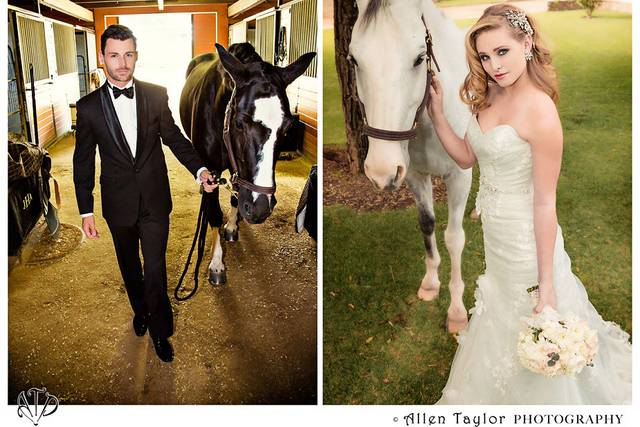 Allen Taylor Photography