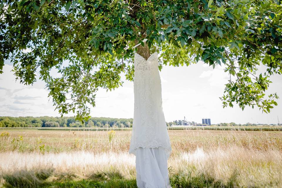 Wedding Dress and Tree