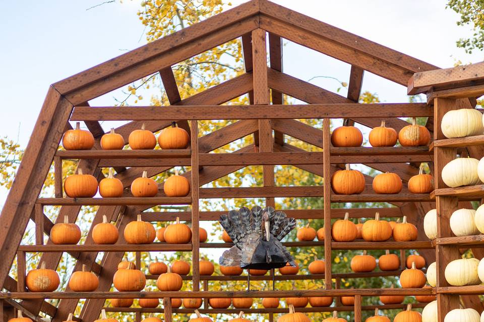 Stocker Farms Fall Elopement