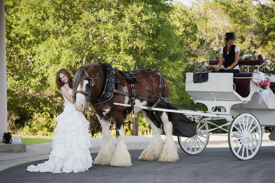 Signature Bridal Salon