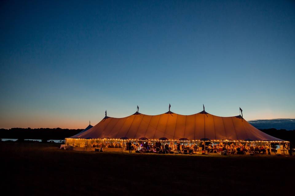 Vineyard Wedding