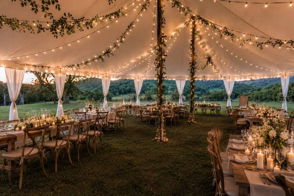 Pic inside tent.jpg