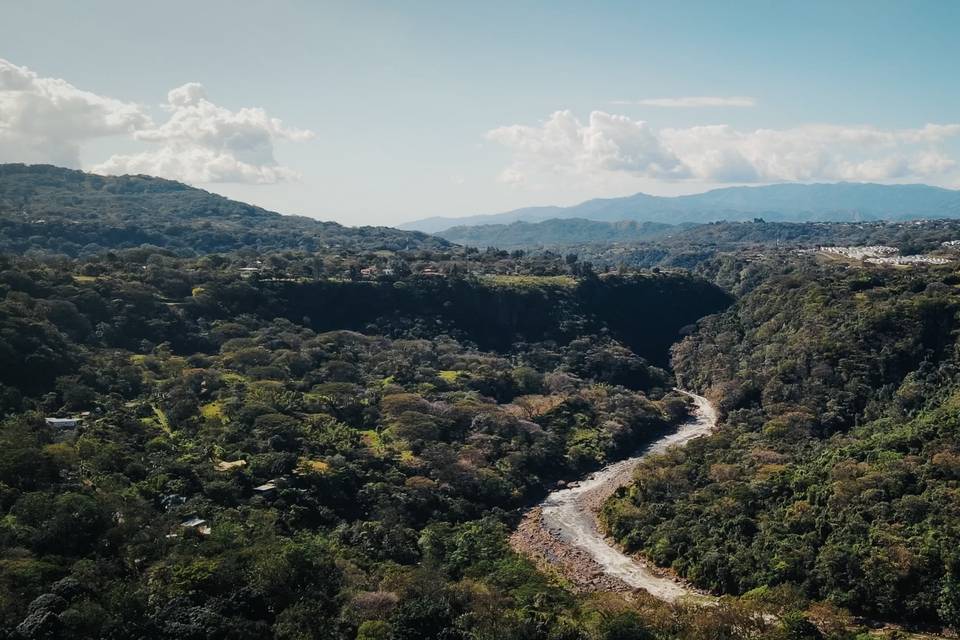 The setting