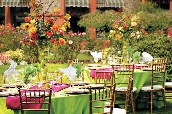 Our rose garden makes for beautiful outdoor receptions