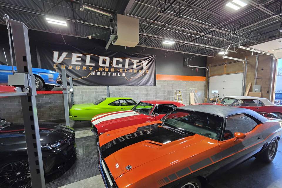 Garage Showroom